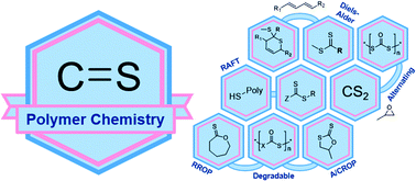 Graphical abstract: Thiocarbonyl chemistry in polymer science