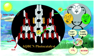 Graphical abstract: Rational design of a graphitic carbon nitride catalytic–biocatalytic system as a photocatalytic platform for solar fine chemical production from CO2