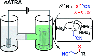 Graphical abstract: Organocopper(ii) complexes: new catalysts for carbon–carbon bond formation via electrochemical atom transfer radical addition (eATRA)