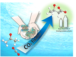 Graphical abstract: Expression of biocatalysts and their use in monomer synthesis for biodegradable polymers from acetone and CO2