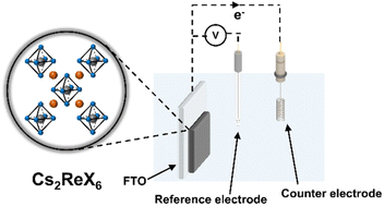 Graphical abstract: Stable Cs2ReX6 (X – Cl, Br) vacancy-ordered perovskites for solar water splitting