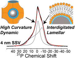 Graphical abstract: Biphasic nature of lipid bilayers assembled on silica nanoparticles and evidence for an interdigitated phase