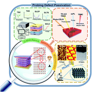 Graphical abstract: Current state-of-the-art characterization methods for probing defect passivation towards efficient perovskite solar cells