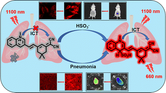 Graphical abstract: Early diagnostic imaging of pneumonia with an ultra-sensitive two-photon near-infrared fluorescent probe