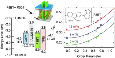 Graphical abstract: Effects of molecular ordering on circularly polarized emission from a twisted mesogenic conjugated polymer