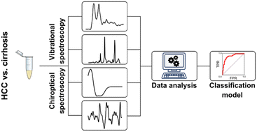 Graphical abstract: Vibrational and chiroptical analysis of blood plasma for hepatocellular carcinoma diagnostics