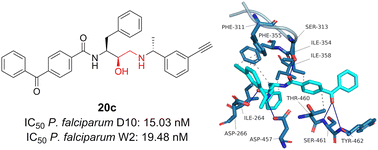 Graphical abstract: Design, synthesis and modelling of photoreactive chemical probes for investigating target engagement of plasmepsin IX and X in Plasmodium falciparum