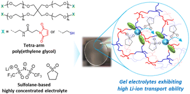 Graphical abstract: Tetra-arm poly(ethylene glycol) gels with highly concentrated sulfolane-based electrolytes exhibiting high Li-ion transference numbers