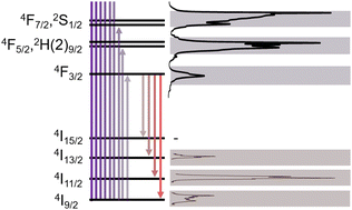 Graphical abstract: Optical spectroscopy as a tool for studying the solution chemistry of neodymium(iii)