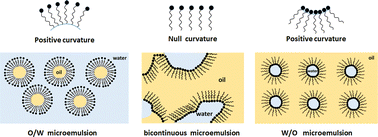 Graphical abstract: Effect of polymer addition on the phase behavior of oil–water–surfactant systems of Winsor III type