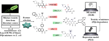 Graphical abstract: Predictive binary mixture toxicity modeling of fluoroquinolones (FQs) and the projection of toxicity of hypothetical binary FQ mixtures: a combination of 2D-QSAR and machine-learning approaches