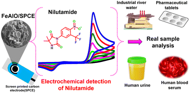 Graphical abstract: Rational construction of micro-plate-like iron oxide/aluminium oxide-fabricated screen-printed carbon electrode for the electrochemical detection of the antiandrogen drug