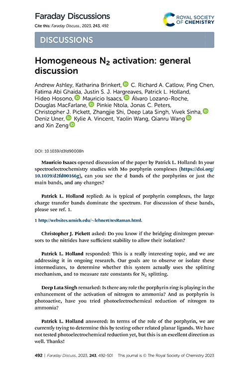 Homogeneous N2 activation: general discussion