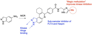 Graphical abstract: Dual FLT3/haspin kinase inhibitor based on 3H-pyrazolo[4,3-f]quinoline scaffold with activities against acute myeloid leukemia