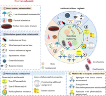 Graphical abstract: Construction of antibacterial bone implants and their application in bone regeneration