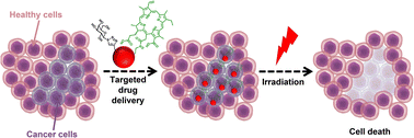 Graphical abstract: Targeted photodynamic therapy for breast cancer: the potential of glyconanoparticles