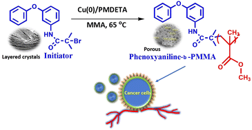 Graphical abstract: In vitro anti-prostate adenocarcinoma and lung cancer studies of phenoxyaniline-block-poly(methyl methacrylate) based nanocomposites via controlled radical polymerization