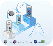 Graphical abstract: DNA-modulated single-atom nanozymes with enhanced enzyme-like activity for ultrasensitive detection of dopamine