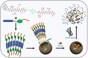 Graphical abstract: Cooperative dissolution of peptidomimetic vesicles and amyloid β fibrils