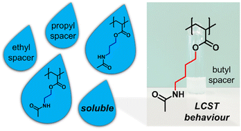 Graphical abstract: The effect of side chain spacer length on the thermoresponsive behaviour of poly(methylamide acrylate)s