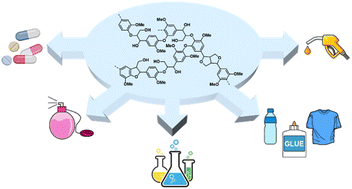 Graphical abstract: A guide to lignin valorization in biorefineries: traditional, recent, and forthcoming approaches to convert raw lignocellulose into valuable materials and chemicals