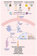 Graphical abstract: Design and fabrication of intracellular therapeutic cargo delivery systems based on nanomaterials: current status and future perspectives