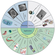 Graphical abstract: Recent advancements in Mg-based micromotors for biomedical and environmental applications