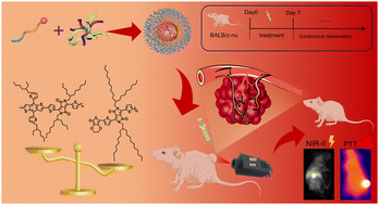 Graphical abstract: Design of donor–acceptor conjugated polymers based on diketopyrrolopyrrole for NIR-II multifunctional imaging