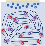 Graphical abstract: On the fundamentals of organic mixed ionic/electronic conductors