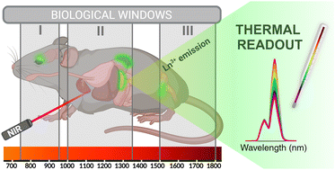 Graphical abstract: Lanthanide-based nanothermometers for bioapplications: excitation and temperature sensing in optical transparency windows
