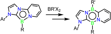 Graphical abstract: Aromaticity transfer in an annulated 1,4,2-diazaborole: facile access to Cs symmetric 1,4,2,5-diazadiborinines