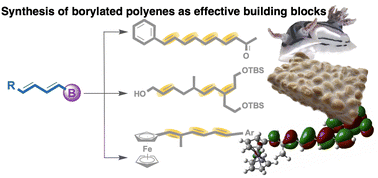 Graphical abstract: Ru(0)-catalysed synthesis of borylated polyene building blocks by cross-dimerisation toward cross-coupling