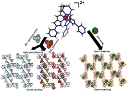 Graphical abstract: Spin crossover of a Fe(ii) mononuclear complex induced by intermolecular factors involving chloride and solvent ordering