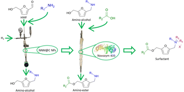 Graphical abstract: Chemoenzymatic synthesis of amino-esters as precursors of ammonium salt-based surfactants from 5-hydroxymethylfurfural (HMF)