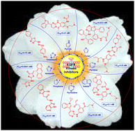 Graphical abstract: A momentous progress update: epidermal growth factor receptor inhibitors as viable agents for combating cancer