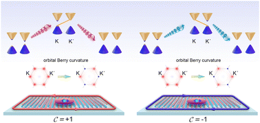 Graphical abstract: Floquet engineering of the orbital Hall effect and valleytronics in two-dimensional topological magnets