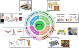 Graphical abstract: Emerging 2D materials hardware for in-sensor computing