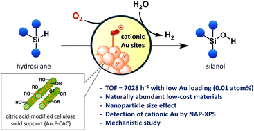 Graphical abstract: Dehydrogenative oxidation of hydrosilanes using gold nanoparticle deposited on citric acid-modified fibrillated cellulose: unveiling the role of molecular oxygen