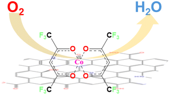 Graphical abstract: Atomically dispersed Co-based species containing electron withdrawing groups for electrocatalytic oxygen reduction reactions