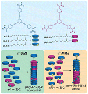 Graphical abstract: Pyridine-based tricarboxamides: complementary monomers for supramolecular copolymerization with C3-symmetric oligophenylenetricarboxamides