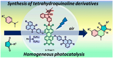 Graphical abstract: Multichromophoric perylene–iridium triad as a homogeneous photocatalyst for the efficient synthesis of tetrahydroquinoline derivatives