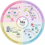 Graphical abstract: Manganese-based nanomaterials in diagnostics and chemodynamic therapy of cancers: new development