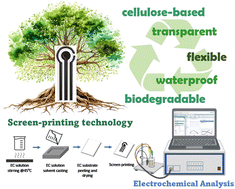 Graphical abstract: An ethyl cellulose novel biodegradable flexible substrate material for sustainable screen-printing