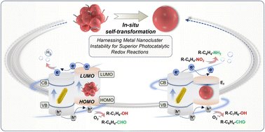 Graphical abstract: Surmounting the instability of atomically precise metal nanoclusters towards boosted photoredox organic transformation