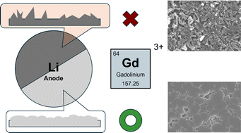 Graphical abstract: Electrolyte tuning with low concentrations of additive for dendrite suppression in lithium metal anodes