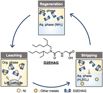 Graphical abstract: Non-aqueous direct leaching using a reusable nickel-selective amic-acid extractant for efficient lithium-ion battery recycling