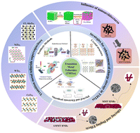 Graphical abstract: A comprehensive review on advanced supercapacitors based on transition metal tellurides: from material engineering to device fabrication