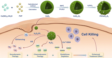 Graphical abstract: Defect-rich sonosensitizers based on CeO2 with Schottky heterojunctions for boosting sonodynamic/chemodynamic synergistic therapy