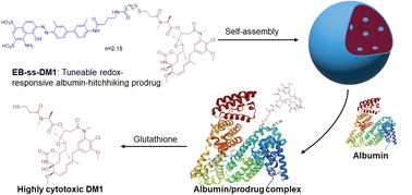 Graphical abstract: Tuneable redox-responsive albumin-hitchhiking drug delivery to tumours for cancer treatment