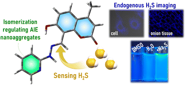 Graphical abstract: Structural isomerism engineering regulates molecular AIE behavior and application in visualizing endogenous hydrogen sulfide